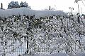 001 nevicata